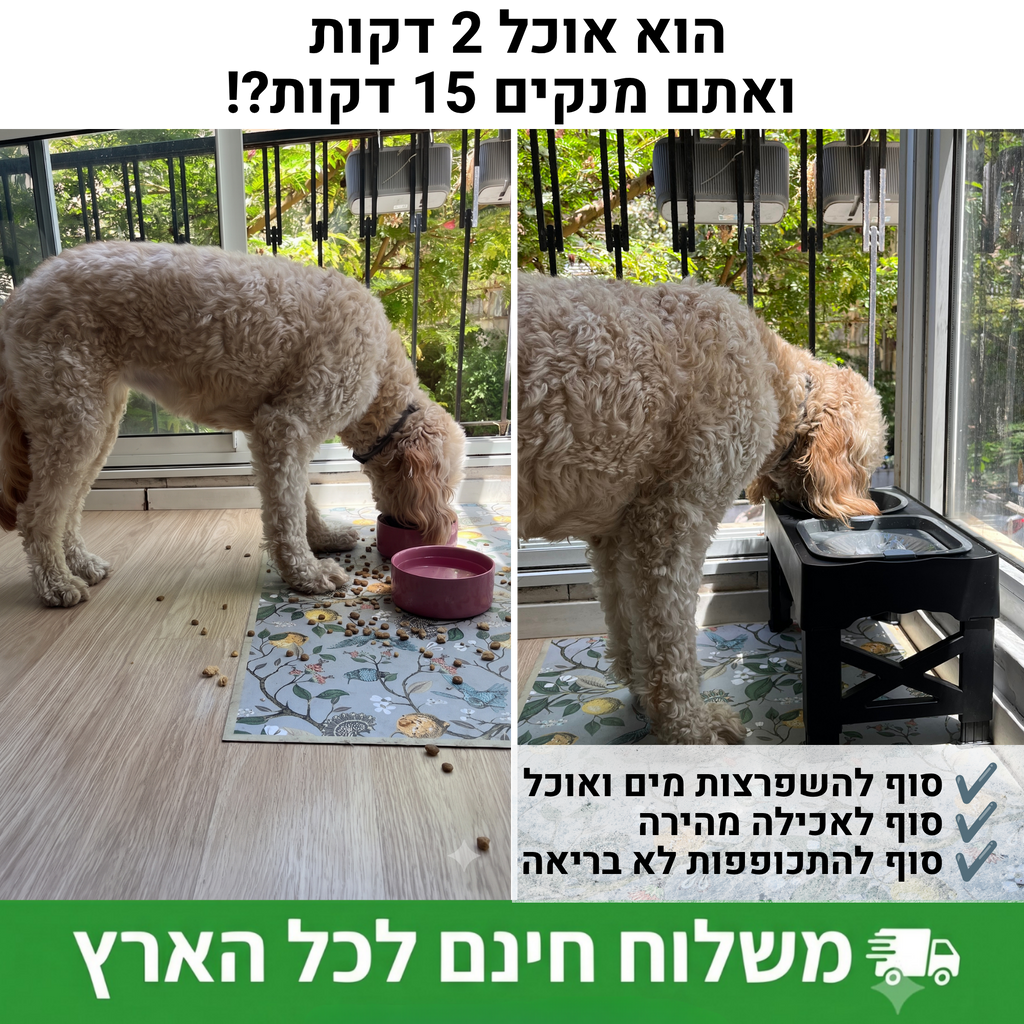 עמדת האכלה מותאמת אישית