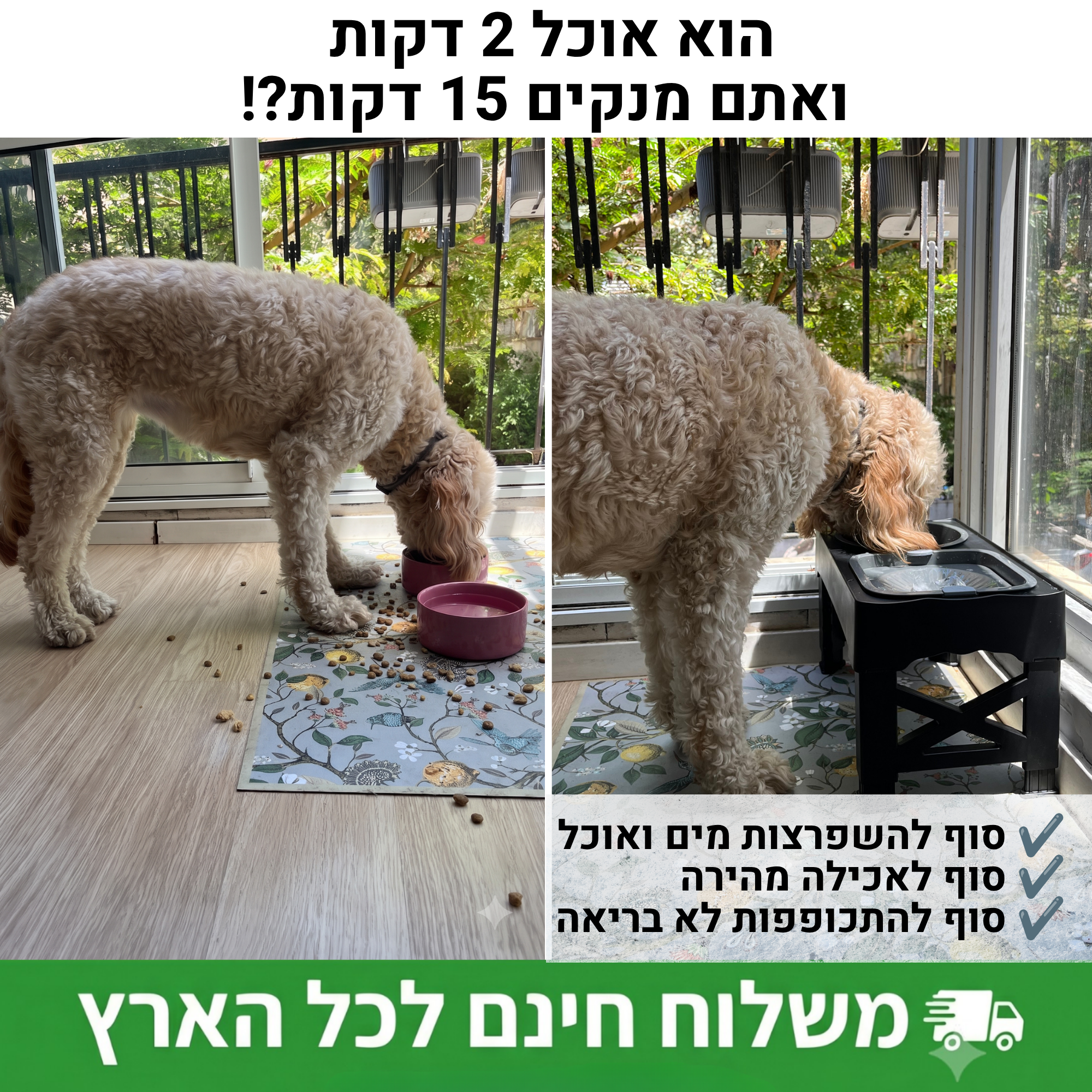 עמדת האכלה מותאמת אישית