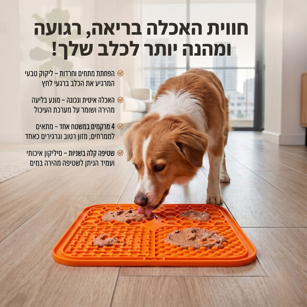 משטח ליקוק