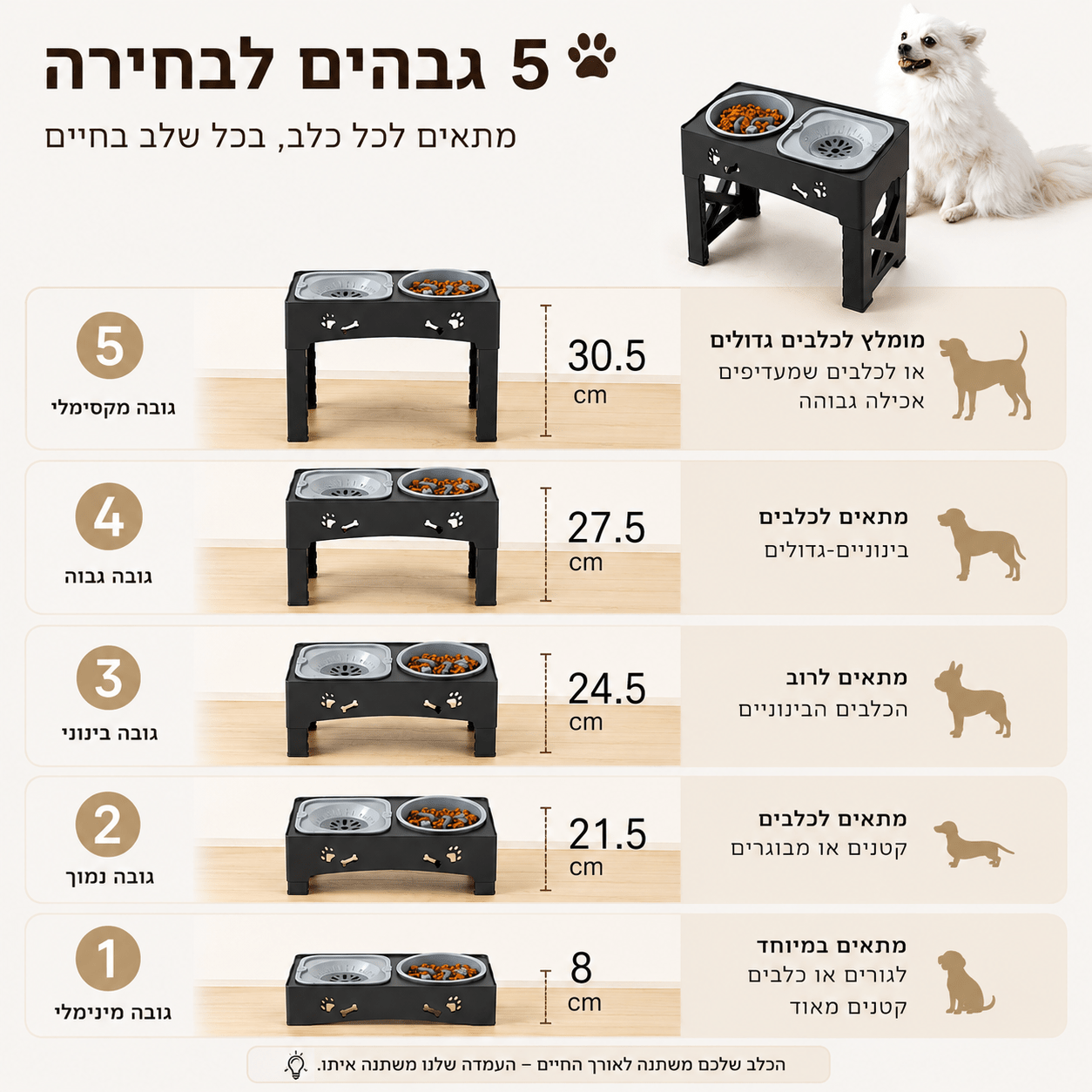 עמדת האכלה מותאמת אישית